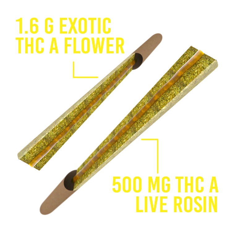 Dozo Donut Rolls THCP Prerolls 3pk | 6g